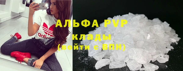 ПСИЛОЦИБИНОВЫЕ ГРИБЫ Новодвинск