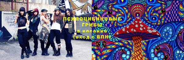 альфа пвп Армянск
